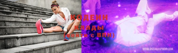 стаф Пересвет