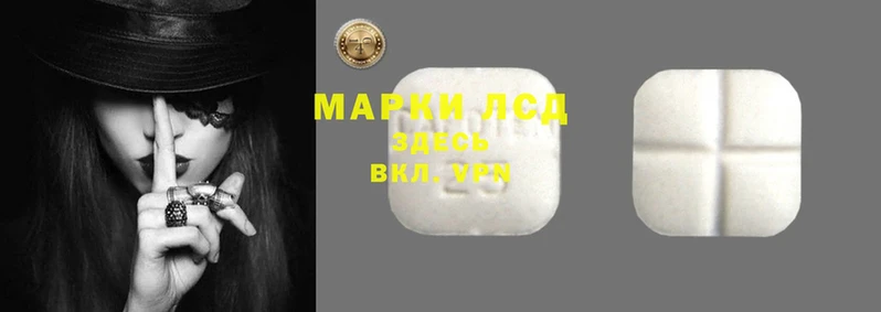 стаф Пересвет