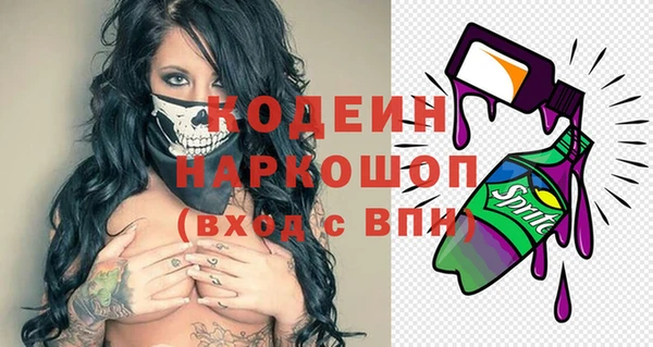 мдпв Пестово