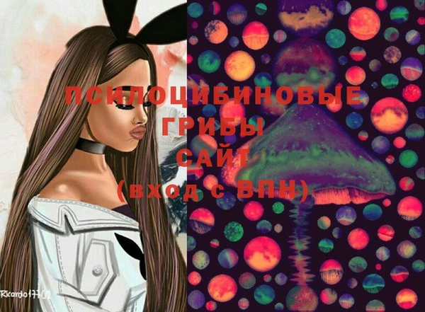 дмт Валдай