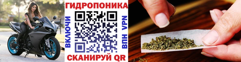 kraken зеркало  Заполярный  Канабис Bruce Banner 